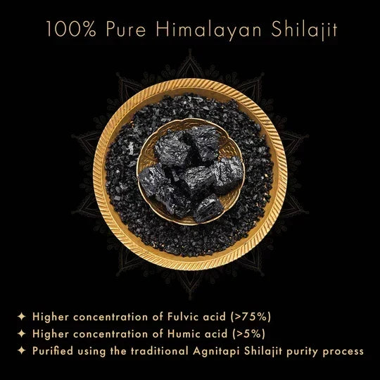 Himalayan Shilajit Resin jar with natural mineral-rich resin for energy stamina and immune support