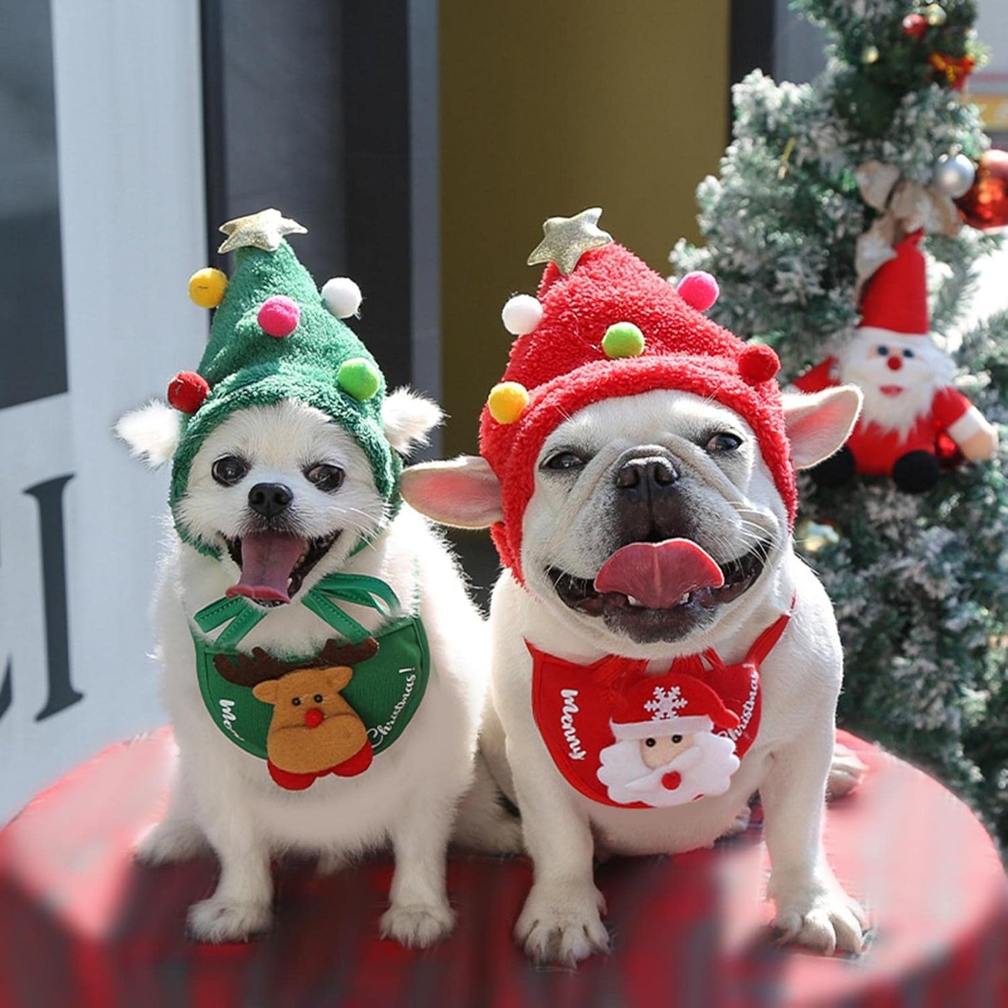 Holiday Pet Outfit (Hat + Scarf)
