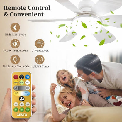 LED Ceiling Fan & Light with Remote